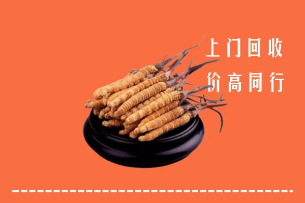 高价求购：南康区回收散虫草