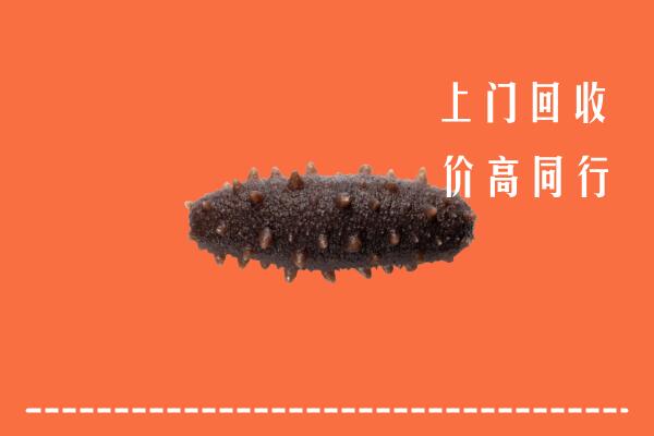 高价求购：南康区回收海参
