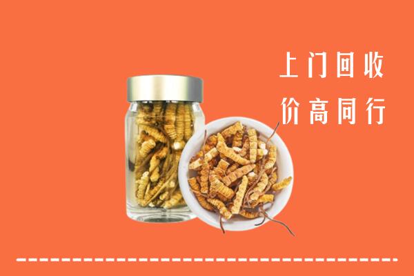 收购行情：南康区回收冬虫夏草